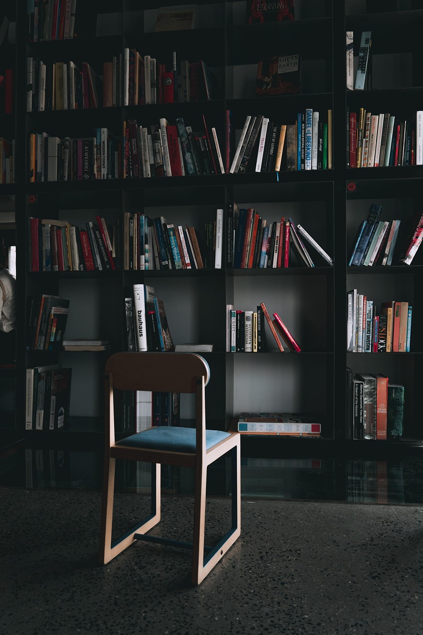 chair, shelves, books, education, story, wisdom